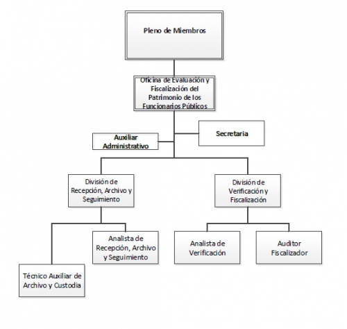ESTRUCTURA DJP