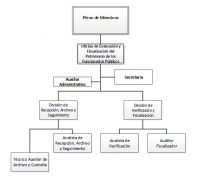 ESTRUCTURA DJP